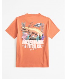 Abercrombie Orange Abercrombie Imagery Back Graphic Tee